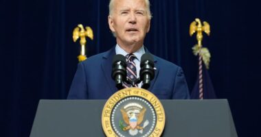 How Biden's domestic policy record stacks up against public perception