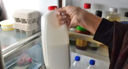 where to keep milk in fridge