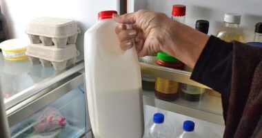 where to keep milk in fridge