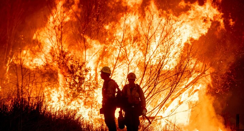 I saw first spark of LA wildfire from window, says Brit who was warning about blaze threat at EXACT moment horror began