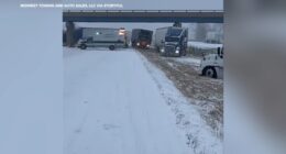 I70 car crash today: Dozens of vehicles involved in Cumberland County pileup near Greenup, Illinois; 1 injured, state police say