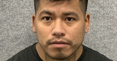 Illegal immigrant suspect in fatal hit-and-run arrested 800 miles from crime scene on bus headed to Mexico