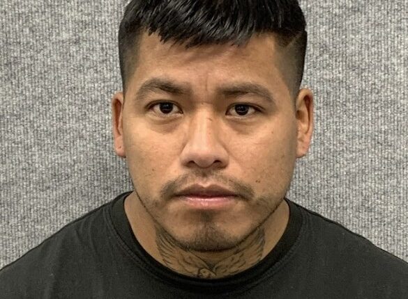 Illegal immigrant suspect in fatal hit-and-run arrested 800 miles from crime scene on bus headed to Mexico