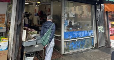 Inside San Francisco's Chinatown 'wet market' where animals are cruelly butchered and 'unsanitary conditions' run rampant