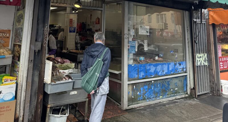 Inside San Francisco's Chinatown 'wet market' where animals are cruelly butchered and 'unsanitary conditions' run rampant