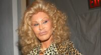 Inside the lives of 'Catwoman' Jocelyn Wildenstein's 'estranged' children, from London-based daughter Diane to son Alec Jr's tax evasion prison sentence - after her death aged 84