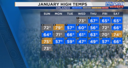 January was frigid in Florida. What’s the forecast for February?