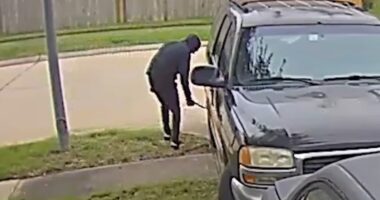 Jesus Arellano arrested after several neighbors' car tires slashed in Westfield Village in Katy, Texas; incidents caught on camera