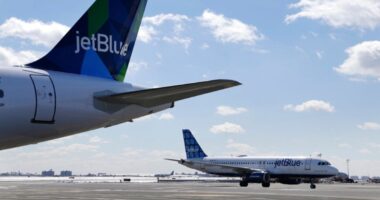 JetBlue plane drops ice chunk through couple's roof: Lawsuit