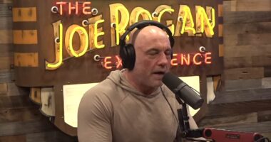 Joe Rogan's blunt view of Hawk Tuah girl Haliey Welch's failed meme coin