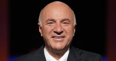 KEVIN O'LEARY: How I'll save TikTok for America's 170 million users... and my challenge to its Chinese owners before we run out of time