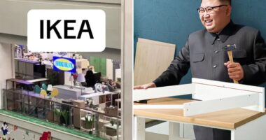 Kim Jong-un opens knock-off IKEA store in North Korean ‘luxury’ shopping mall – & didn’t even bother to change the name