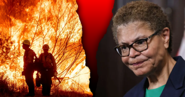 LA Mayor Karen Bass' brother loses home in Palisades Fire