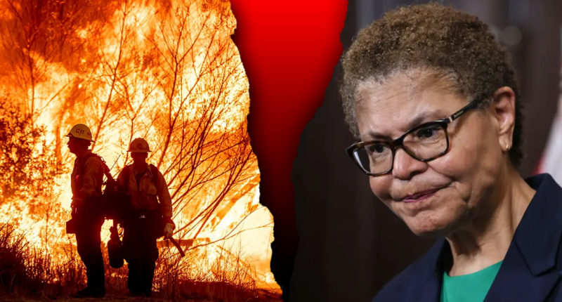 LA Mayor Karen Bass' brother loses home in Palisades Fire