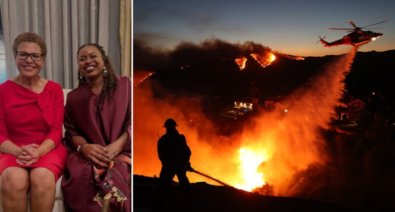 LA Mayor Karen Bass posed for photos at a cocktail party as Palisades Fire exploded