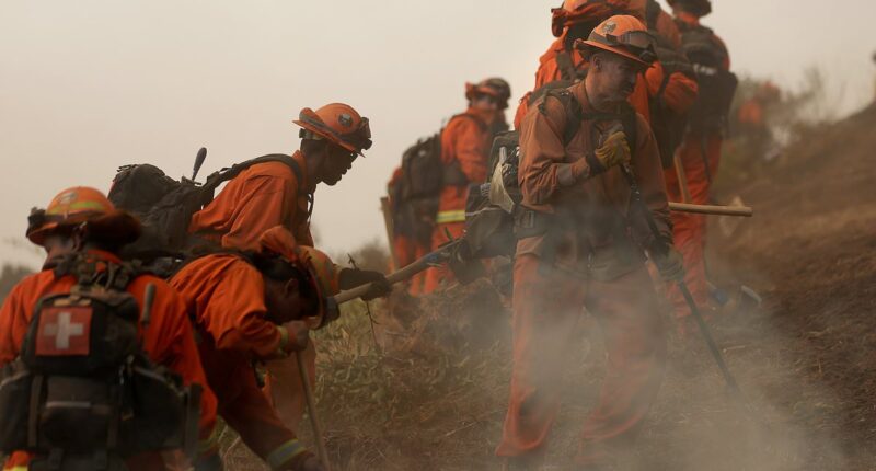 LA inferno surrounds celebrity-packed district as locals are TRAPPED in gridlock: Feds hunt for fire starters