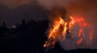 LA wildfires roar towards more celeb-packed enclaves with 6 blazes STILL out of control as 70mph winds set to fan flames