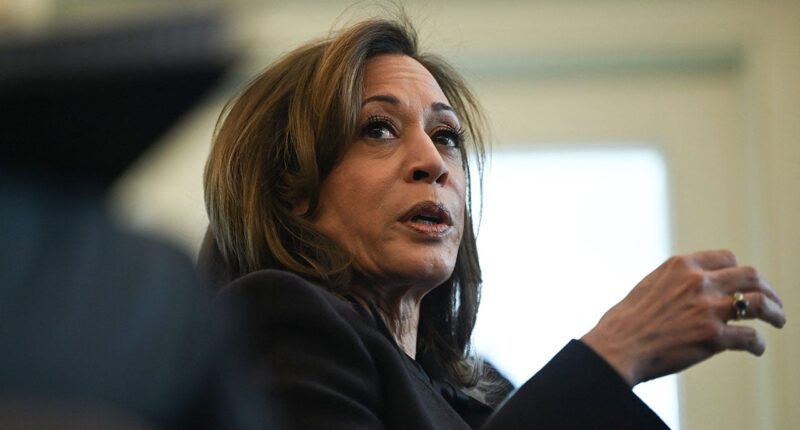 LAPD responds to Kamala Harris' California home in Palisades Fire evacuation zone, 2 men detained: reports