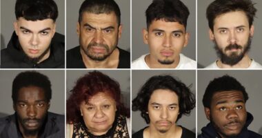 LA's lowlifes: The 'looters, burglars and drug addicts' arrested during Palisades Fire all share common trait