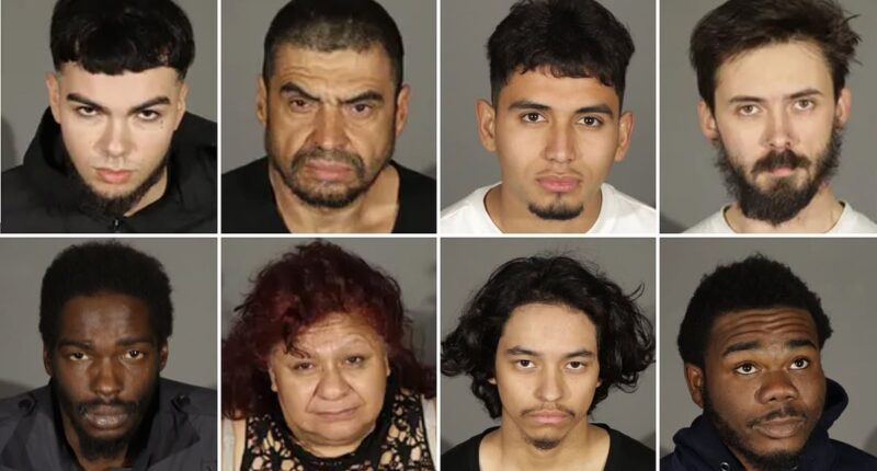 LA's lowlifes: The 'looters, burglars and drug addicts' arrested during Palisades Fire all share common trait