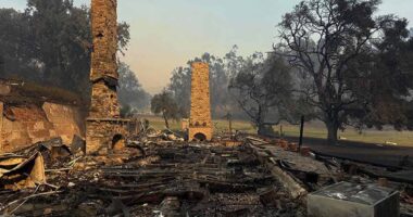 LA's raging wildfires have destroyed prestigious architectural gems across city