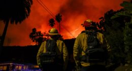 LA’s rich & famous hiring $2,000-an-hour private firefighters to protect million-dollar homes & businesses sparking fury