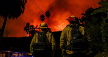 LA’s rich & famous hiring $2,000-an-hour private firefighters to protect million-dollar homes & businesses sparking fury