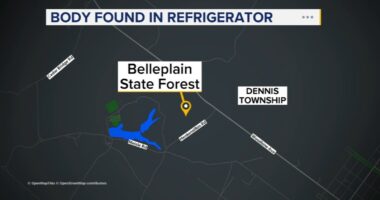 Laura Hughes NJ death: Christopher Blevins charged after girlfriend's body found in refrigerator in Belleplain State Forest