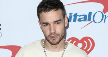 Liam Payne's Close Friend Blasts The Singer's Father In Defamation Suit As He Denies Being His 'Caretaker'