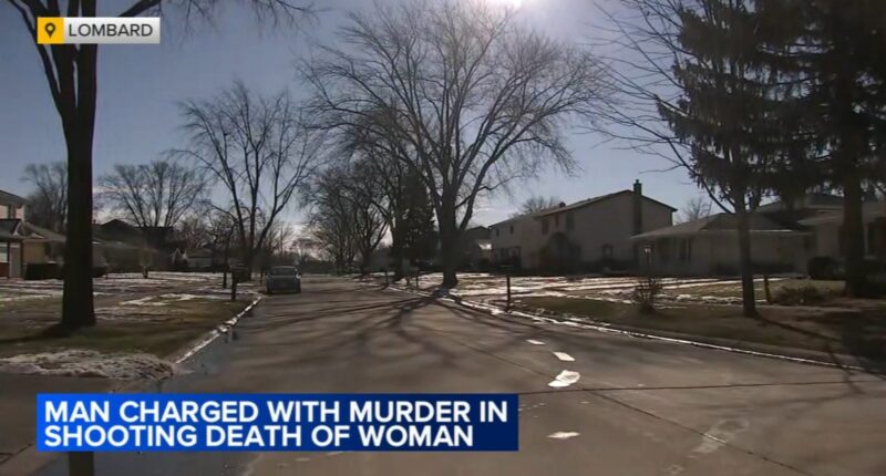 Lombard shooting: Charles Witter fatally shot wife Helen Witter in their bed on Clarendon Avenue, DuPage County officials say