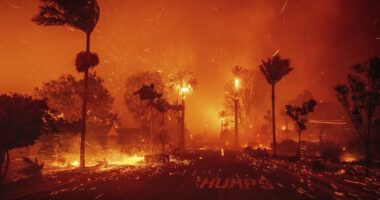 Los Angeles faces 12 more hours of monstrous wildfires as California elites forced to evacuate