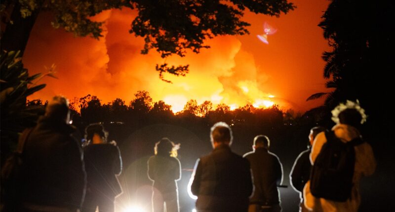 Los Angeles wildfires: City's infamous red tape preventing private security from helping homeowners, firms say