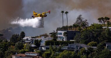 Los Angeles wildfires: Firefighting plane grounded for 3 days after drone strike causes 'fist-sized hole'