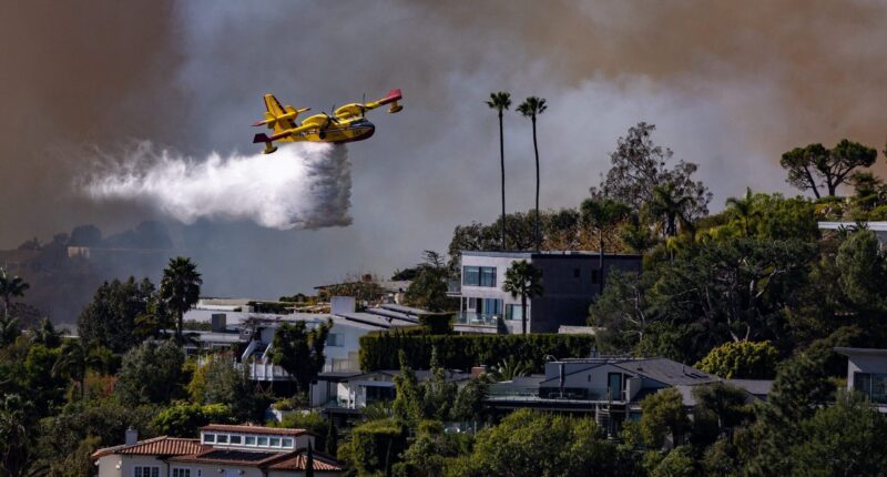 Los Angeles wildfires: Firefighting plane grounded for 3 days after drone strike causes 'fist-sized hole'