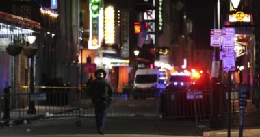 Louisiana Lt. Gov. Rips Mayor Over Missing Barriers in Bourbon St. Terrorist Attack: 'An Embarrassment'