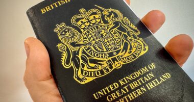 Major change to the way you use your passport is set for 2027 as Government introduces new 'wallet'