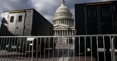 Man arrested entering the Capitol with a machete and three knives