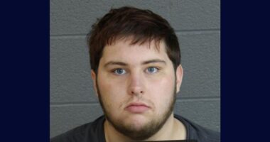 Man attacks parents after over money for pot: Affidavit