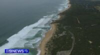 Man dies and dozens more rescued from dangerous surf across Victoria's coastline amid heatwave