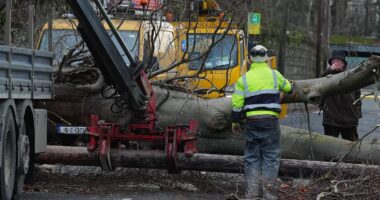 Man is killed by falling tree in Ireland after Storm Eowyn pummels the UK with savage 100mph winds