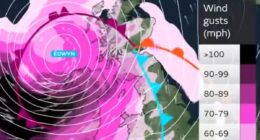 Map reveals where amber 'danger to life' 90mph gales are set to batter Britain from MIDNIGHT as dogs owners issued stark warning ahead of Storm Eowyn