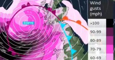 Map reveals where amber 'danger to life' 90mph gales are set to batter Britain from MIDNIGHT as dogs owners issued stark warning ahead of Storm Eowyn