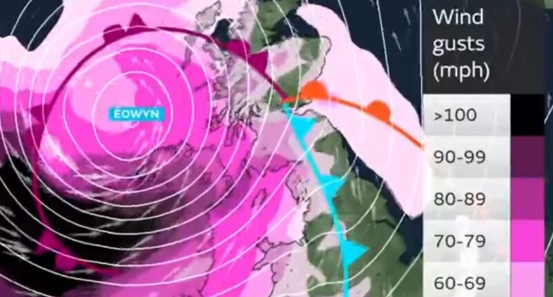 Map reveals where amber 'danger to life' 90mph gales are set to batter Britain from MIDNIGHT as dogs owners issued stark warning ahead of Storm Eowyn