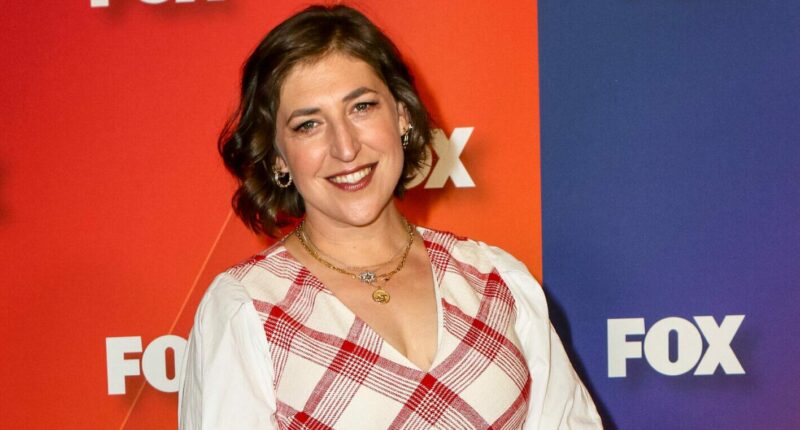 Mayim Bialik Addresses If She Would Host Another Game Show After 'Jeopardy!'