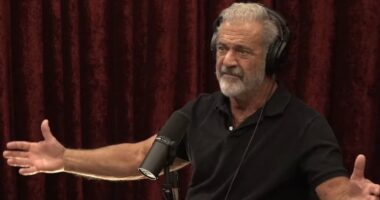 Mel Gibson slams Gavin Newsom amid LA fires in scathing rant on Joe Rogan podcast