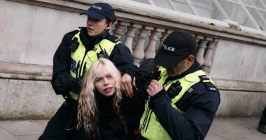 Met police arrest eight at pro-Palestinian demo after putting 1,000 officers on streets and banning march from approaching synagogue