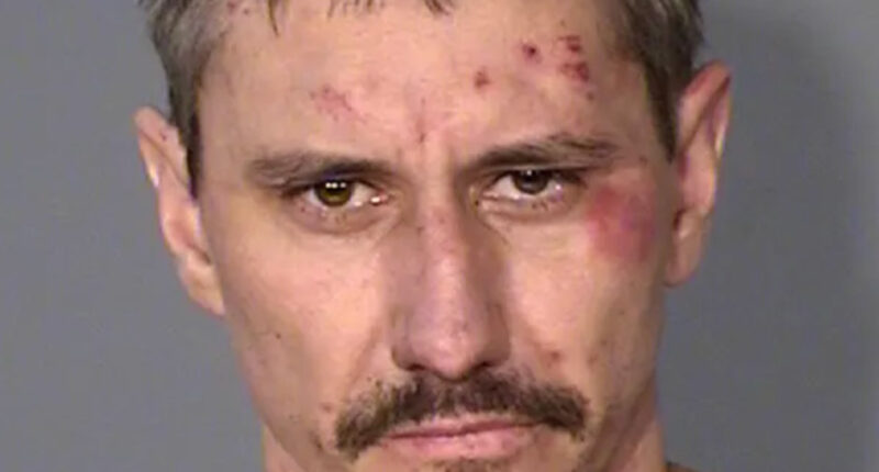 Minnesota Man Pleads Guilty to Killing, Dismembering 2 Girlfriends in 2 Years