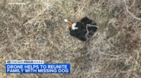 Missing dog found by Dog Gone Pet Recovery's thermal drone, reunited with Crystal Lake, Illinois family: VIDEO