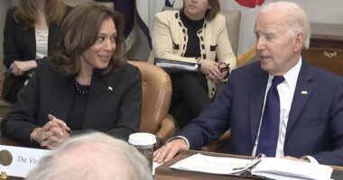 Moment Joe Biden tells Kamala Harris ‘fire away… no pun intended’ in live update on LA wildfires as death toll hits 6