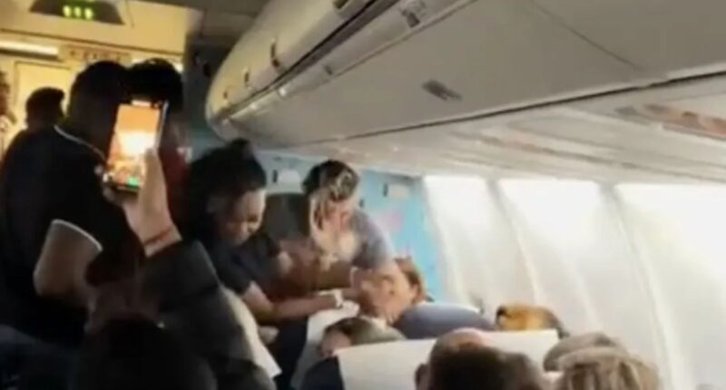 Moment female plane passenger throws her drink at stewardess before tossing her wig and attacking other travellers